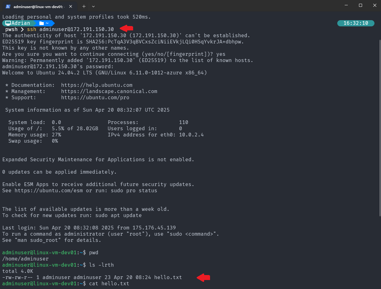 Verify remote-exec in Azure VM Machine.